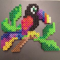 Toucan perles a repasser hama oiseaux