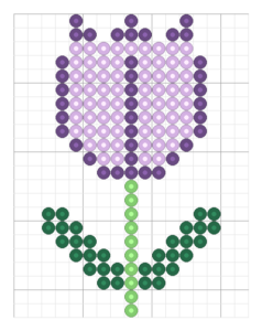 Tulipe mauve